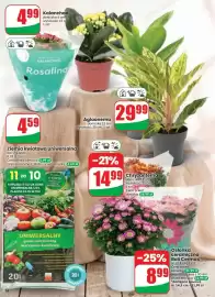 Dino gazetka tydzień 35 Strona 58: Ziemia kwiatowa uniwersalna €4,59, Osłonka ceramiczna Bali Cermax €8,99
