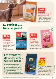 Catalogue Maxi Zoo page 11