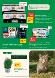 Catalogue Maxi Zoo page 6
