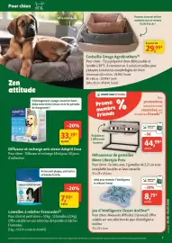 Catalogue Maxi Zoo page 7