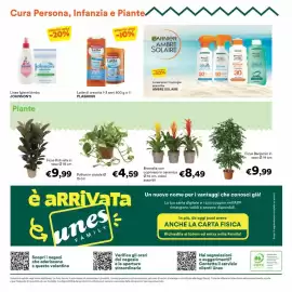 Volantino Unes Pagina 24: Pothos in ciotola €4,59, Ficus Robusta €9,99