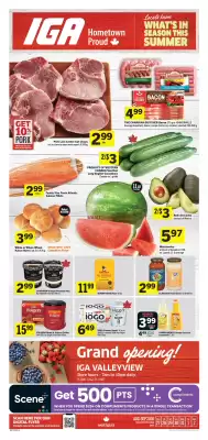 IGA (valid until 2-09)