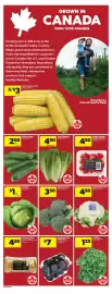 Real Canadian Superstore flyer week 35 Page 12
