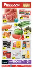 Foodland flyer week 35 Page 1