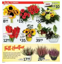Fortinos flyer week 35 Page 17