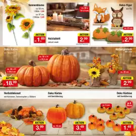 Zimmermann Prospekt woche 36 Seite 19