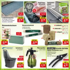Zimmermann Prospekt woche 36 Seite 37