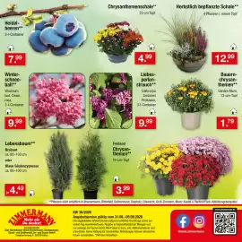 Zimmermann Prospekt woche 36 Seite 38