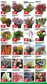 Wreesmann Prospekt woche 36 Seite 3