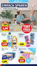 Hofer Flugblatt woche 35 Seite 36: Kokett XXL Toilettenpapier €7,49, Tempo Original Trio Box €4,99