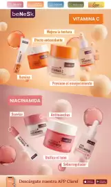 Folleto Clarel Página 3