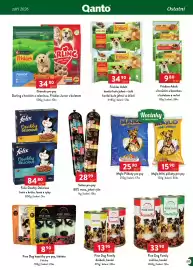 Qanto leták Strana 159: Fine Dog kapsičky pro psy, štěňata €890,00, Salám pro psy €28,99
