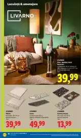 Catalog Lidl săptămâna 36 Pagină 40: LivarNo covoraș intrare €13,99, Livarno Covor €49,99