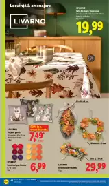 Catalog Lidl săptămâna 36 Pagină 42: LivarNo față de pernă €7,49, LivarNo Decoratiiune toamna €29,99