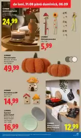 Catalog Lidl săptămâna 36 Pagină 43: Livarno suporturi pentru farfurii €16,99, Livarano perne decorative €49,99