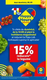 Catalog Lidl săptămâna 36 Pagină 45