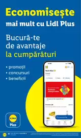 Catalog Lidl săptămâna 36 Pagină 46