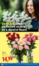 Catalog Lidl săptămâna 36 Pagină 48: Buchet de trandafiri €14,99
