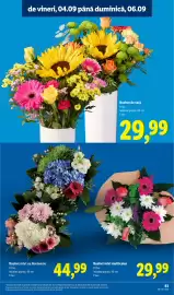Catalog Lidl săptămâna 36 Pagină 81: Buchet mixt cu Hortensie €44,99, Buchet de vară €29,99