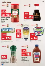 Catalog Carrefour Pagină 13