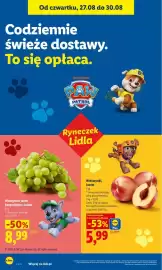 Lidl gazetka Strona 40: Winogrona jasne bezpestkowe, luzem €8,99, Nektarynki, luzem €5,99
