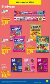 Lidl gazetka Strona 73