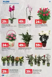 Catalog Carrefour Pagină 23