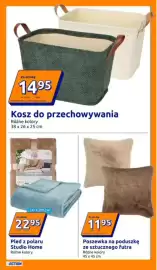 Action gazetka tydzień 35 Strona 22: Kosz do przechowywania €14,95, Poszewka na poduszkę ze sztucznego futra €11,95