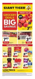Giant Tiger flyer week 35 Page 1