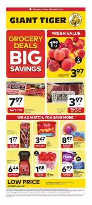 Giant Tiger (valid until 1-09)