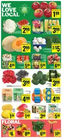 Food Basics flyer week 35 Page 6: Field Tomatoes €5,99, Daiya gluten free cheese €5,49