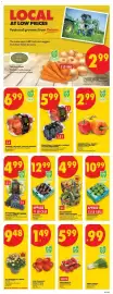 No Frills flyer week 35 Page 3: FARMER'S MARKET CARROTS or YELLOW ONIONS €2,99