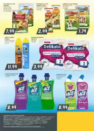 Słoneczko gazetka Strona 12: Plyn do WC Ace Power Gel €8,99, Przysmak dla psa Friskies Picnic €2,99