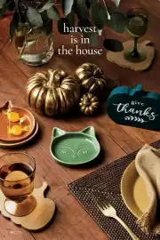 AVON flyer Page 160