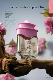 AVON flyer Page 75