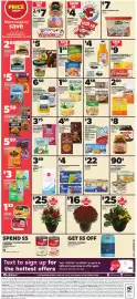 Loblaws flyer week 35 Page 2: Farmer's Market Mum Planter €16,00, PC Max paper towels €22,00