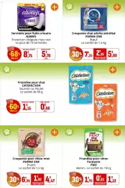 Catalogue Coccinelle Supermarché page 50: ALWAYS Serviette pour fuite urinaire €5,78