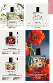 Avon weekly ad Page 79