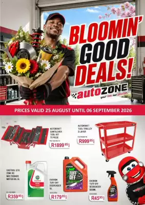 AutoZone (valid until 6-09)