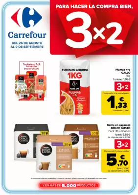 Folleto Carrefour (válido hasta el 9-09)