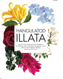 Oriflame katalógus Oldal 72