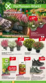 Raiffeisen Markt Prospekt Seite 1