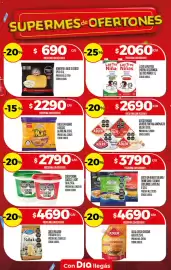 Folleto Supermercados DIA semana 35 Página 13