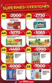 Folleto Supermercados DIA semana 35 Página 14