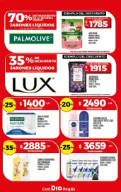 Folleto Supermercados DIA semana 35 Página 18