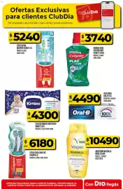 Folleto Supermercados DIA semana 35 Página 21