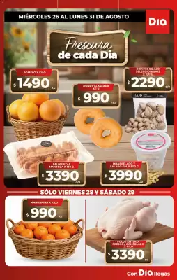 Folleto Supermercados DIA (válido hasta 31-08)