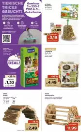 Zoo & Co Prospekt woche 36 Seite 10