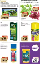 Zoo & Co Prospekt woche 36 Seite 11