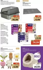Zoo & Co Prospekt woche 36 Seite 5